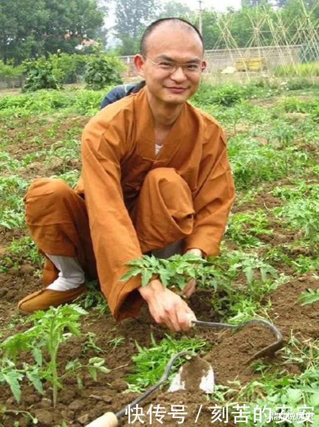 28岁清华博士削发为僧，如今40岁，正是人生巅峰