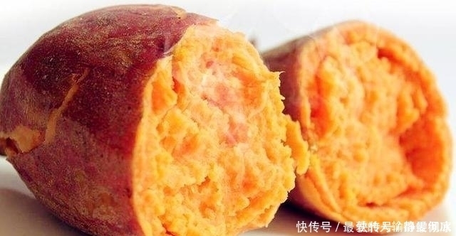 十年野钓经验后才发现一旦进入了夏季,这四种鲤鱼最感兴趣