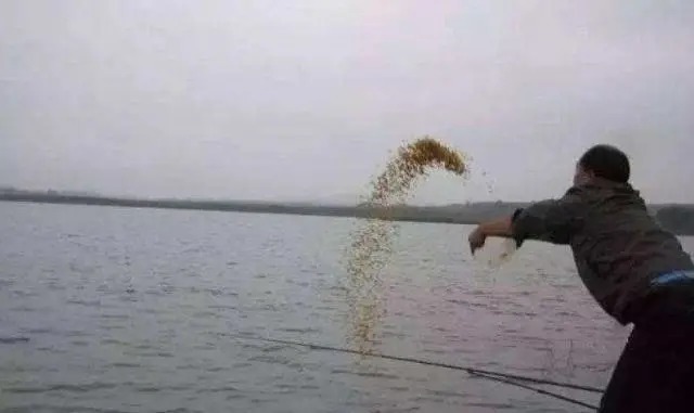 冬钓打窝后,老手都会用“一招”,聚来的鱼大又肥!