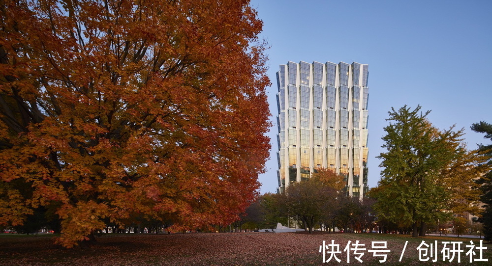 h“海参”公寓楼:国王林荫大道100号/Studio Gang