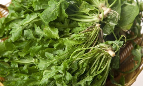 此物|失眠的人有福了！常吃此物，抑制大脑兴奋，改善睡眠质量，安心睡