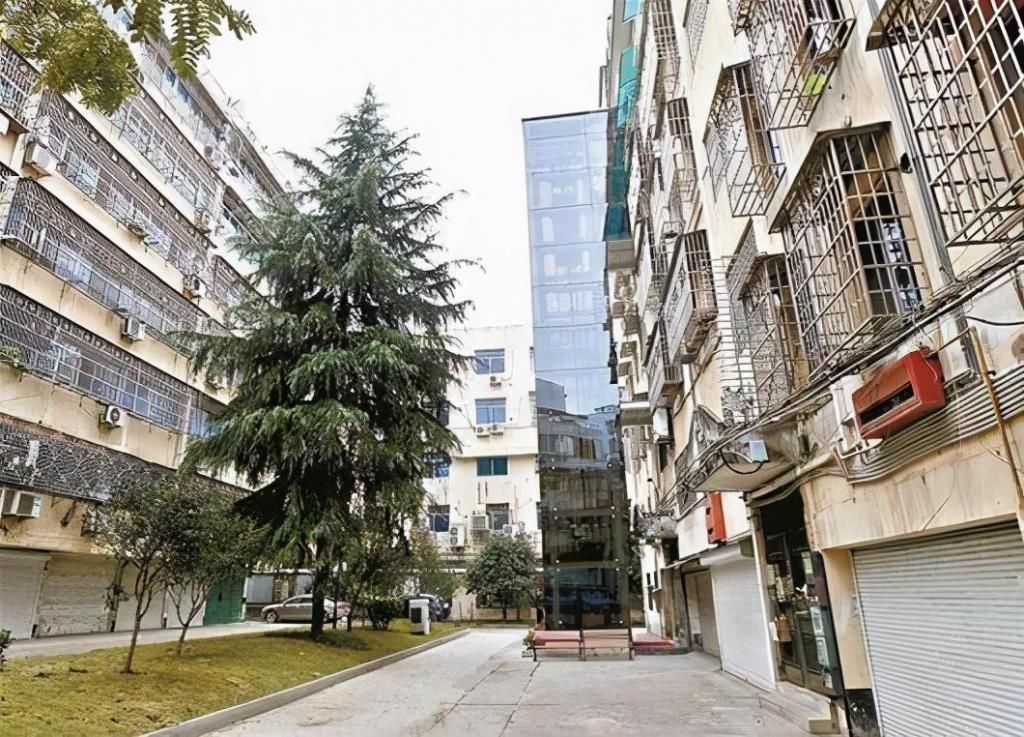 楼层|给老旧小区装电梯，但楼下却反对，为何？“新建议”获众人认可！