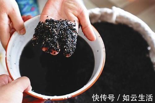 日常|雌激素减少易显老女性日常多吃点此类食物，雌激素或许悄悄增多