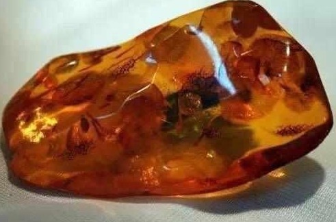 没想到|儿子放学路上捡的一块不起眼的石头,没想到,却改变了全家的生活