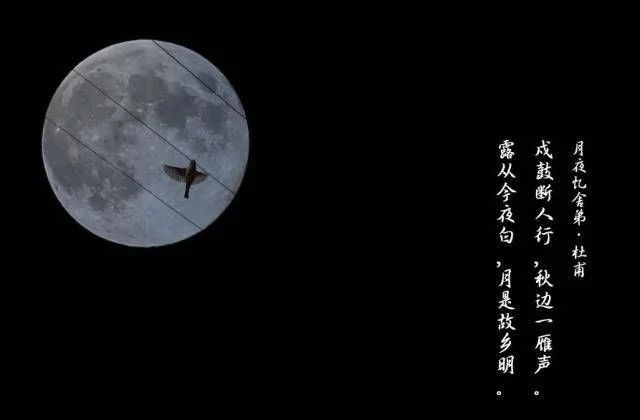 「青未了」月到中秋分外明