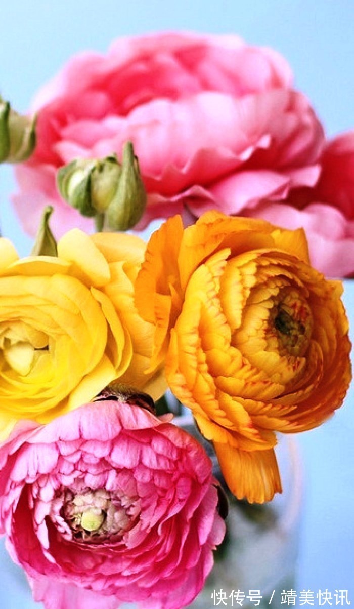 春光灿烂$很有意境的句子,生活是个万花筒,酸甜苦辣尽藏其中