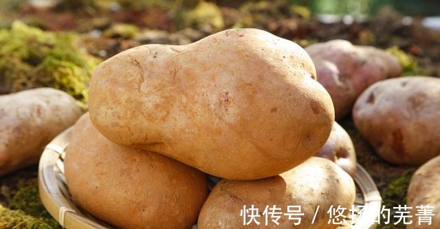 好香|入秋后,吃南瓜不如吃它,不炖不炒,团成球浇上料汁,真的好香呀!