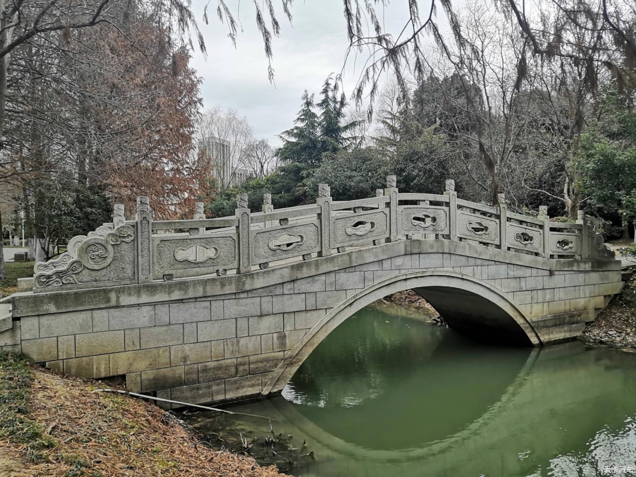 紫叶李|【爱卡踏青季】游石湖美景，你在湖畔走，我在画中游