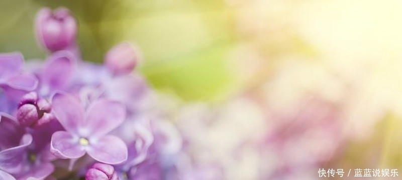 王安石第二次拜相,他的老对手苏轼不满,于是写下一首讽刺的诗!