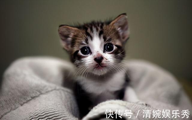 羽毛球|22个冷知识，课本上不会出现，但却真实有趣的存在着