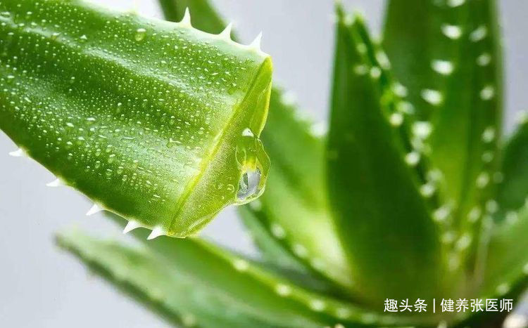 养颜|女性不想过早衰老，可以多吃3种食物，排毒养颜，有益健康！