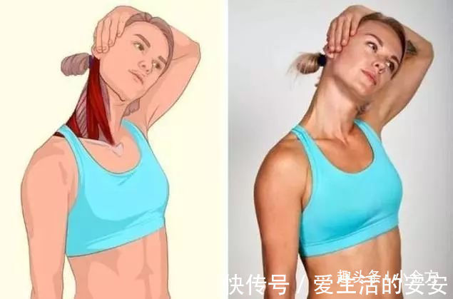 肌肉|终于找到了,这套全身拉筋3D图解,打通全身经络,太难得了