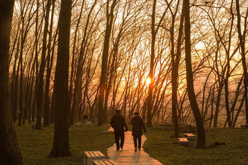胡教授|54岁时查出高血脂,之后每天日行万步,坚持了18年,他怎样了?