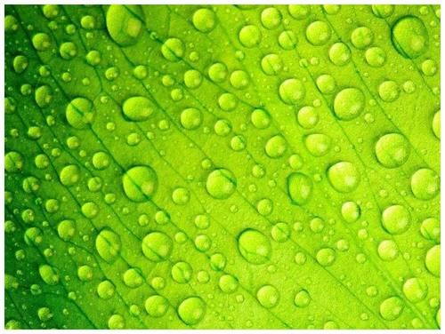 要求|你的内心恐惧越多，你对孩子的要求也便越多