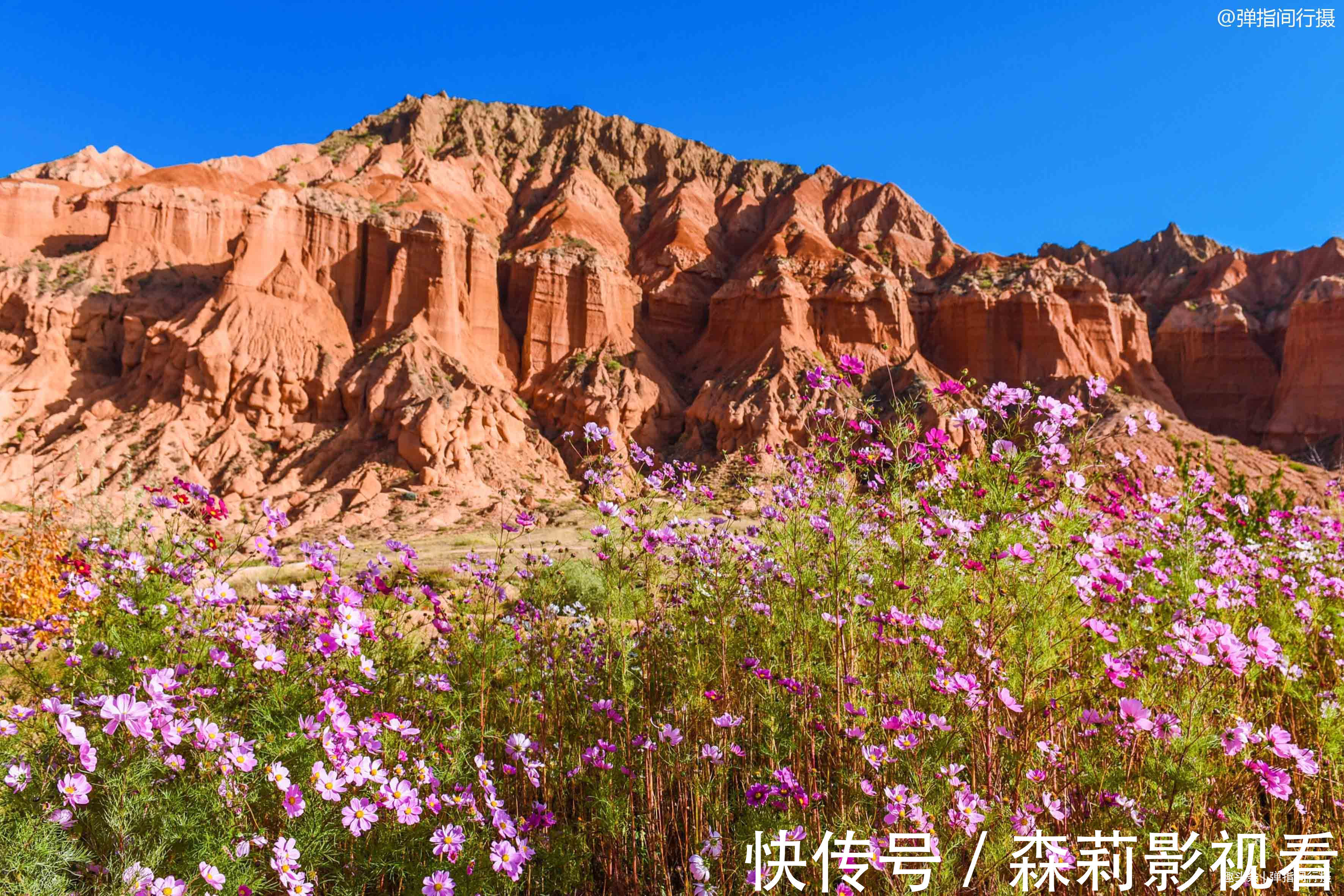 高原|青藏高原上的“小江南”，奇特丹霞地貌色彩斑斓，秋季美景如仙境