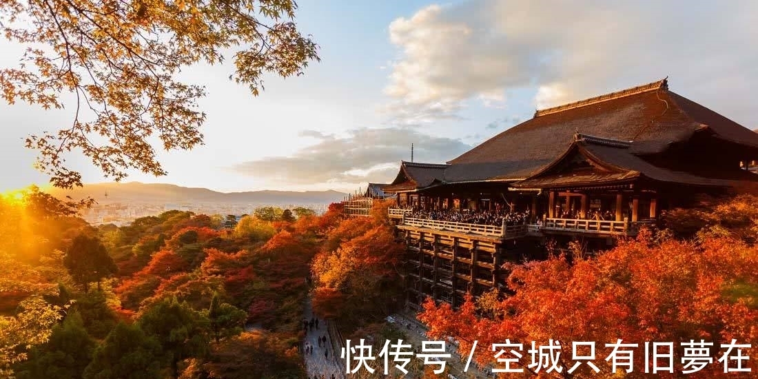 购车&十个冷知识:尽可能不要全款去购车!