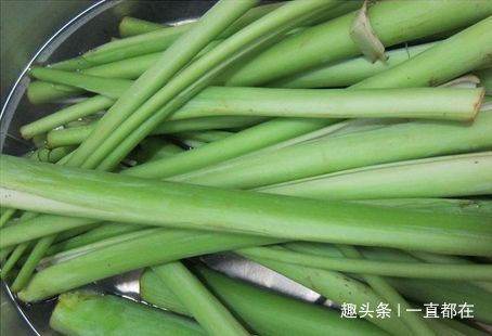 乳腺癌|农村有几种野菜,用于防治乳腺癌、冠心病、心脏病等症