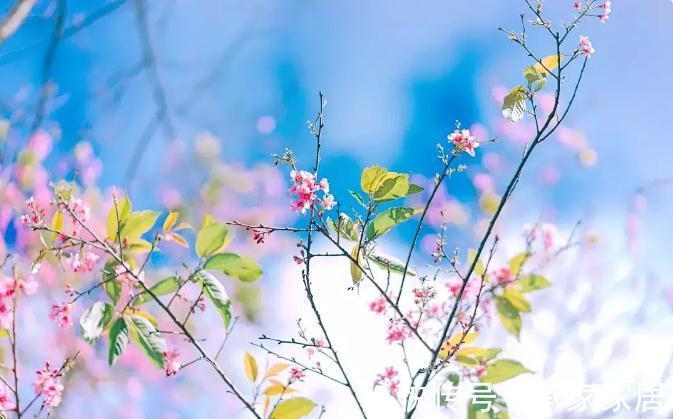 兼职|60岁丁克阿姨被问将来谁给养老?老人坦言:谁的晚年不是风雨飘摇