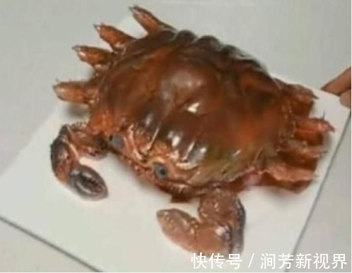 蛋糕|弟弟拿回一只“螃蟹”，妈妈准备蒸，切开一看是“它”，幸亏没蒸