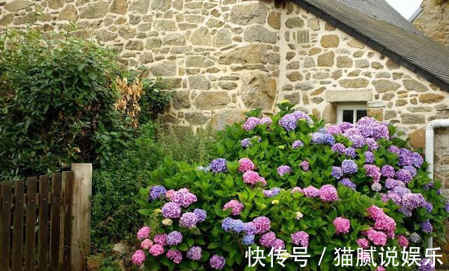 这9种花园，随便1个都美上天了，有一种这辈子就满足了！