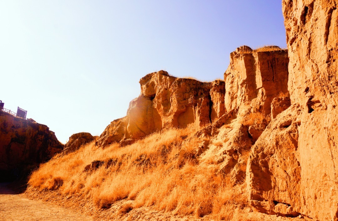 脚踏|一路银川,水洞沟遗址脚踏黄土来,机关四起藏兵洞