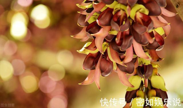 守信|一个有教养的人，总会在这四个方面做得很好