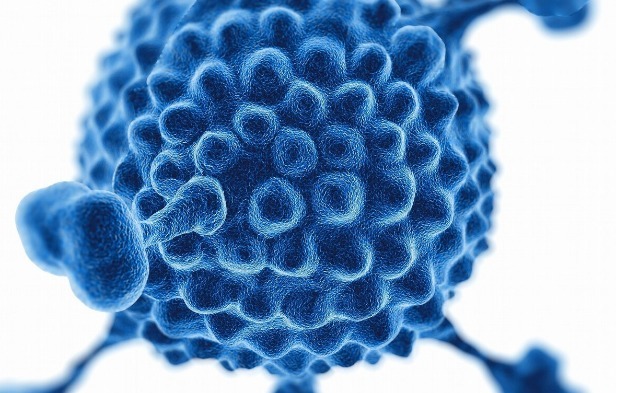 癌症|有毒又致癌的砒霜，也是抗癌良药科学家发现砒霜抗癌新机制