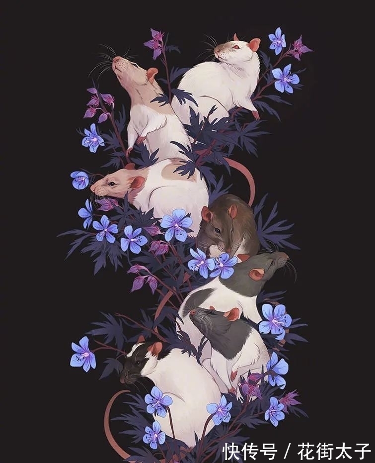 荒野$艺术守护荒野|万物生灵的和谐之美