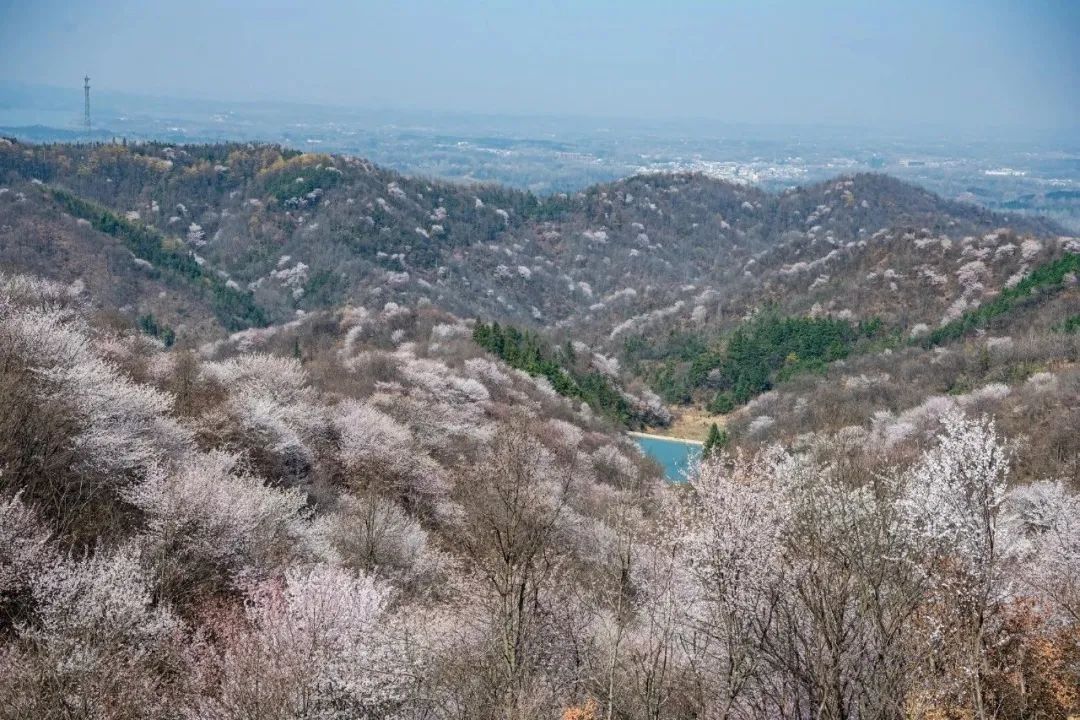 老年|信阳市光山县一景色被央视点赞