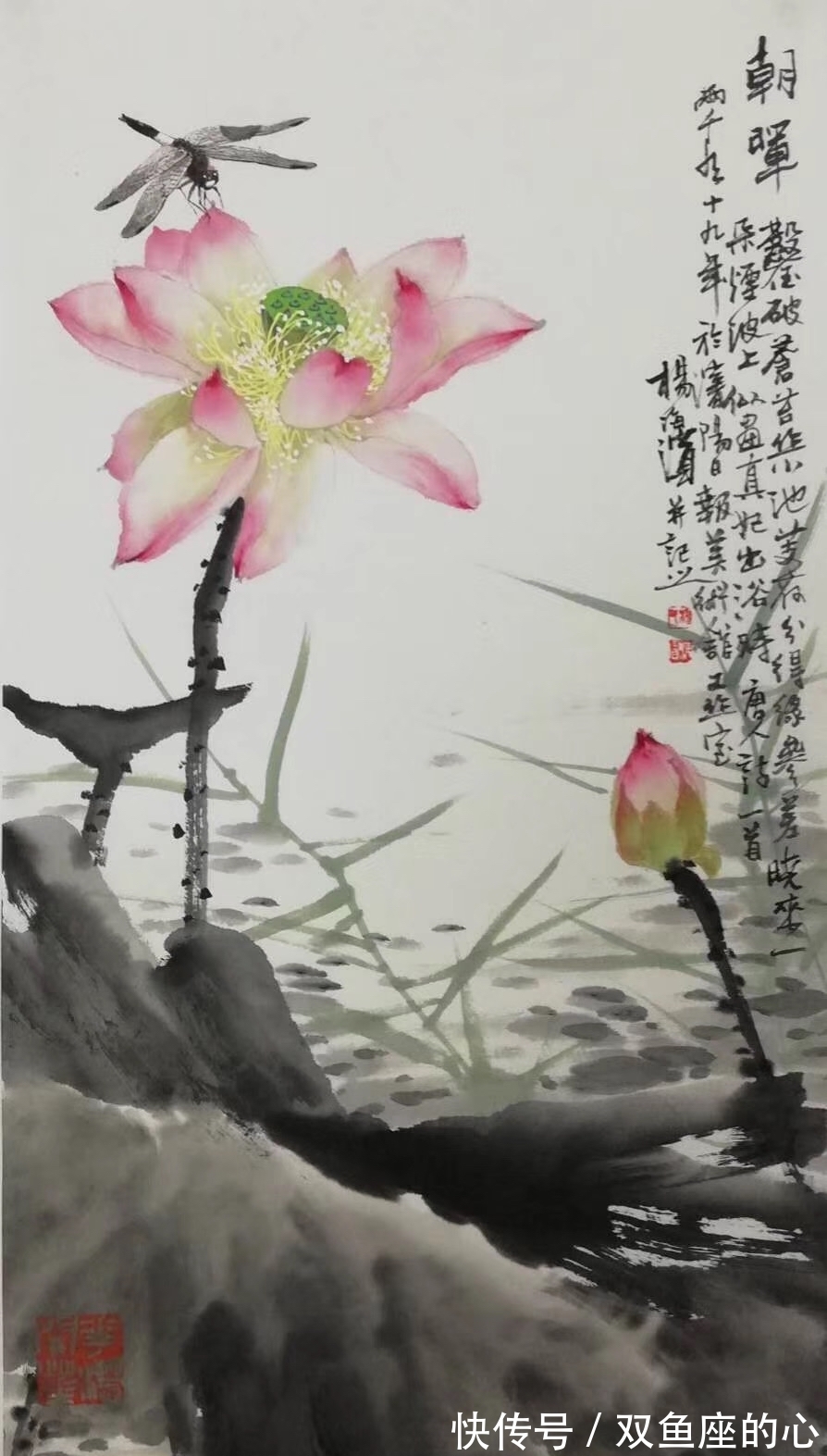 花鸟画|著名花鸟画画家杨海滨作品集赏析