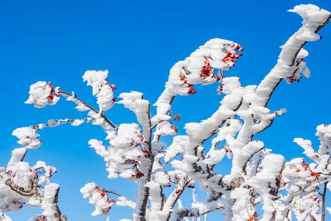  散文|跟随姚鼐的散文《登泰山记》冬览泰山
