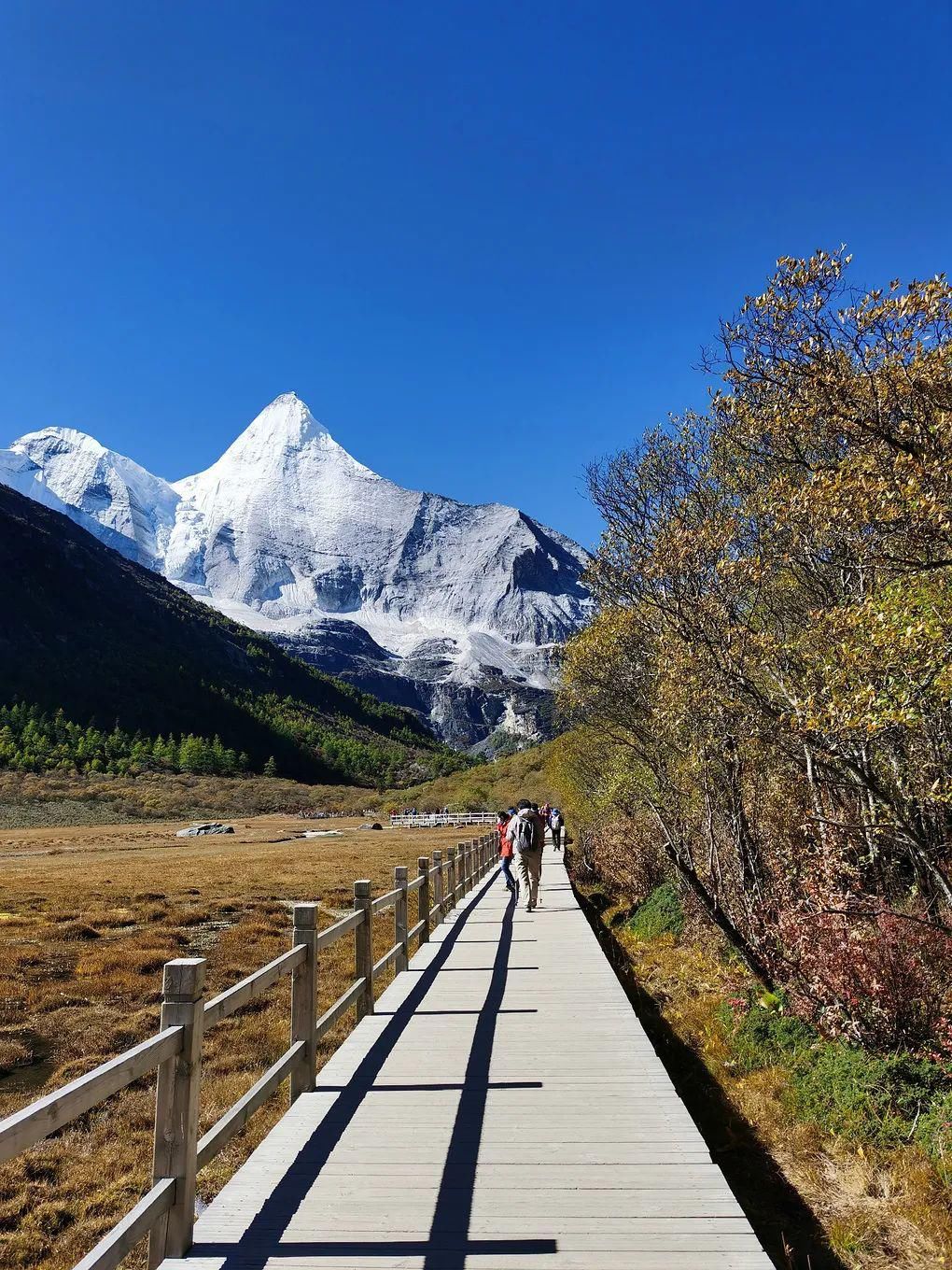 高原|高原有毒，你会上瘾！勇闯稻城亚丁，人生第一次看到雪山......