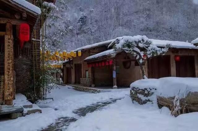 低薪|春花秋月、夏蝉冬雪，与你一起看遍柞水的春夏秋冬