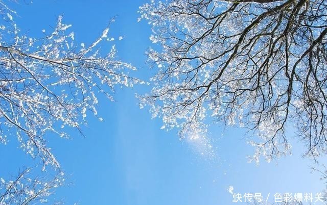  可惜|猪油，用对了是良药！可惜很多人都吃错了