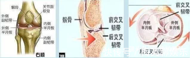 关节|年轻膝盖疼不当回事,老了寸步难行,牢记7点让膝盖强健如“初”