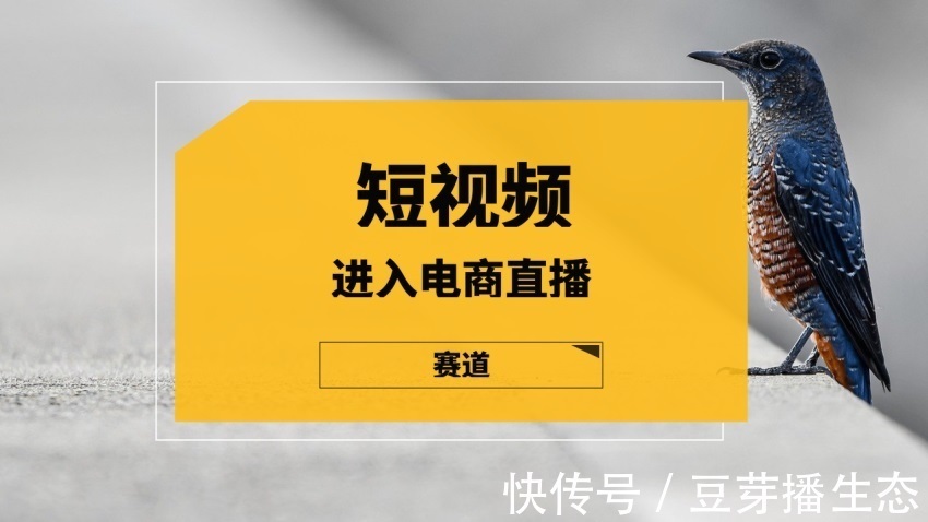 中国企业家|短视频平台进入电子商务现场直播赛道