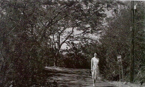 小姐|张学良亲手拍摄的赵四小姐:穿着睡袍胡思乱想,戴着老花镜看八卦杂志!