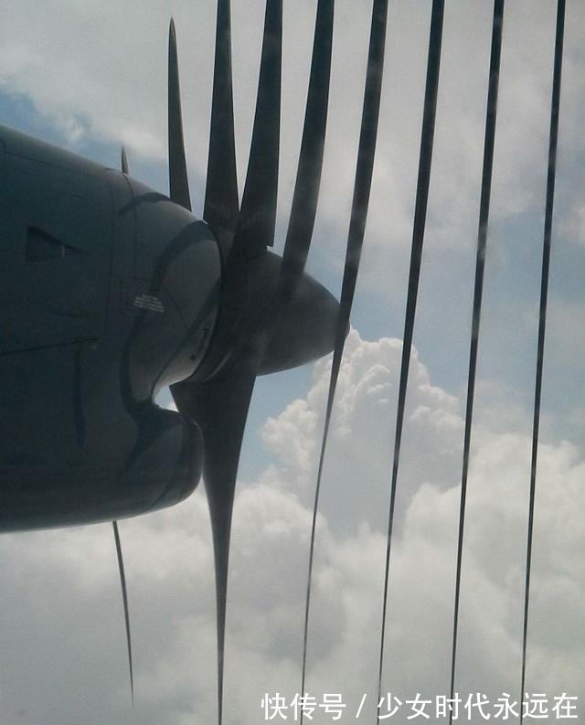 照片$30张“活久未见”的照片:被闪电击中的木头,好像一副国画