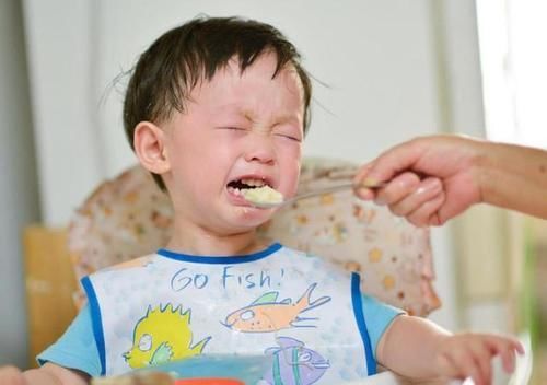 小贝|孩子不吃饭饿一顿管用？家长别搞错了，“四步走”让孩子爱上吃饭