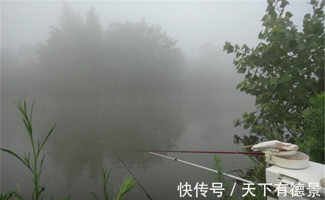 光线|秋钓边，从过了白露开始，选择这4种天气和4种边，想不爆护都难