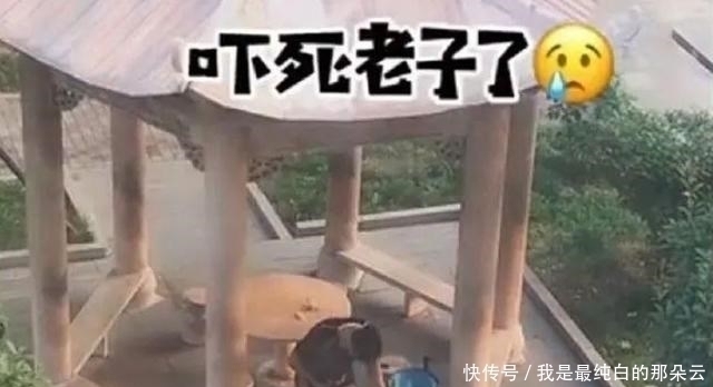 孩子|“糊涂爸爸”慌张找娃走红,带孩子玩却转眼不见,宝宝:你低下头