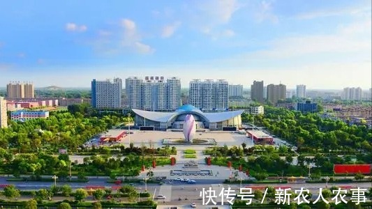 垫脚石|山东一小男孩火了,动作麻利地帮大人干农活,父母却欣慰又心疼