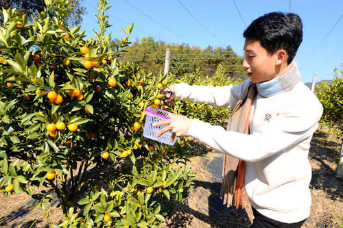 沙坝仔村没坝，但有神农，是城里人向往的村落