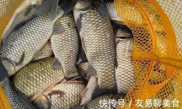 冬季钓鱼，看到这种“现象”，千万别错过，随便钓也能上大板鲫！