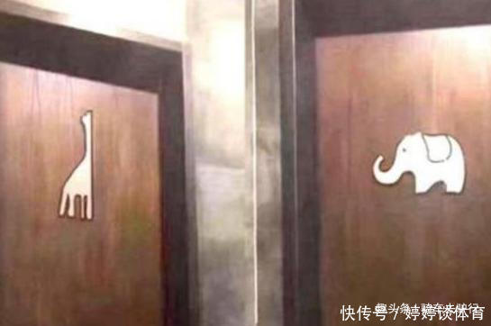 厕所|外出游玩上厕所时,厕所门上标志是大象和长颈鹿,如何区分男女