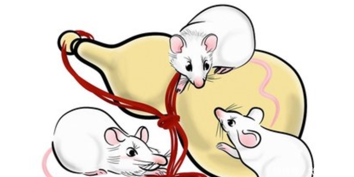 节气|俗语说:“十九年头7年寡,鼠年难逢双春年”,老祖宗智慧高深