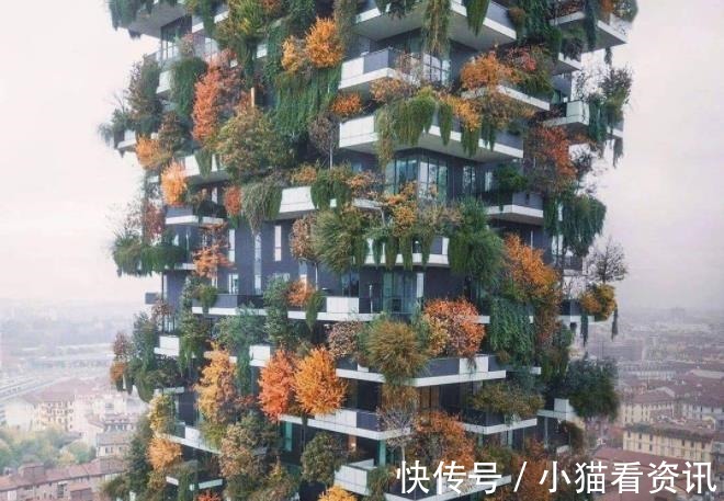 别墅|中国将迎来第四代住房,家家有院子、车停门口,电梯房时代过去了