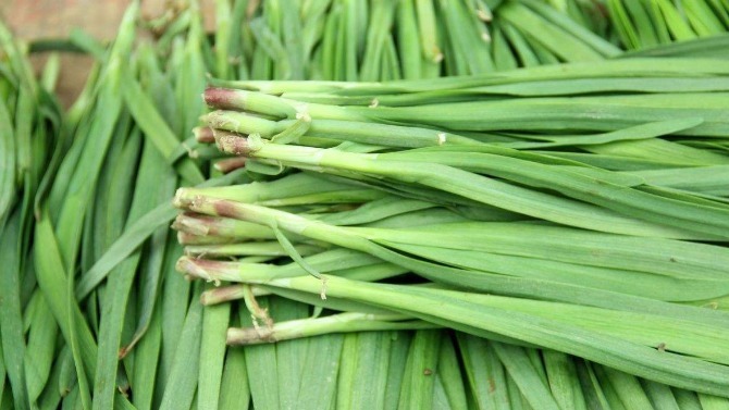 单宁酸|肝喜欢的搭配韭菜养生,搭配了“它”,可养肝明目