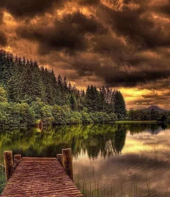 传来|太美了,世界照片今天终于传来,罕见至极,一睹为快