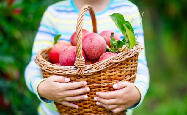 胆固醇|高血脂是吃出来的坚持“两低一高”饮食,2个月轻松吃掉高血脂